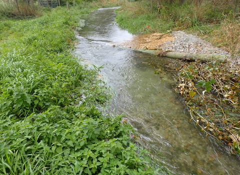 Scour pool for fish habitat in the Pillhill Brook at Little Ann © Wild Trout Trust