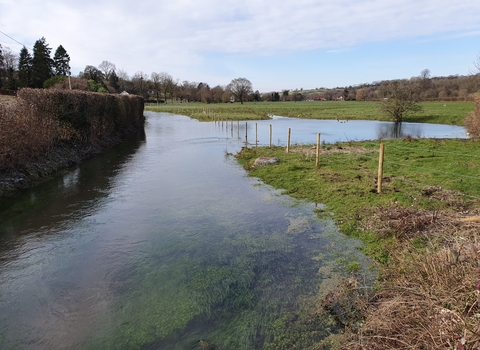 Fencing on the Bourne Rivulet at Stoke © Wessex Rivers Trust