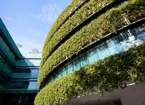 office building with greenery 