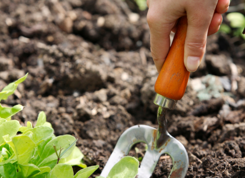 gardening fork in soil