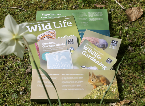 Spring Membership Pack