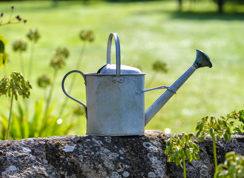 Watering can © Calinat via Getty Images