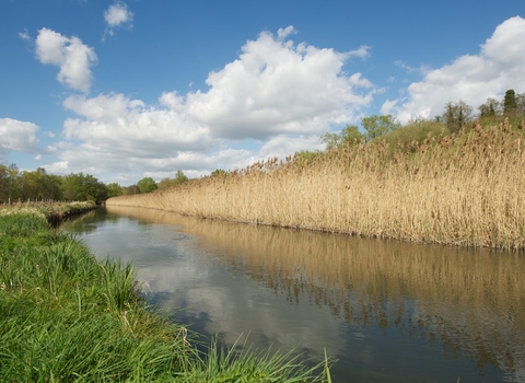 River Itchen 