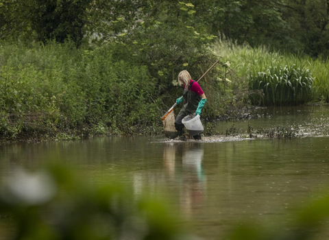 Volunteer collecting a sediment sample from Millennium Green Pond © Emma Healey