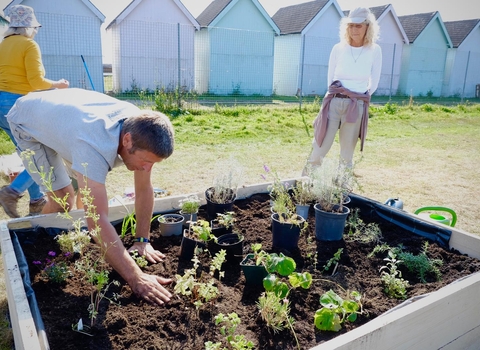 Man leaning over raised beds to plant wildflowers while two volunteers look on. Beach huts on the Eastney Coast are in the background.