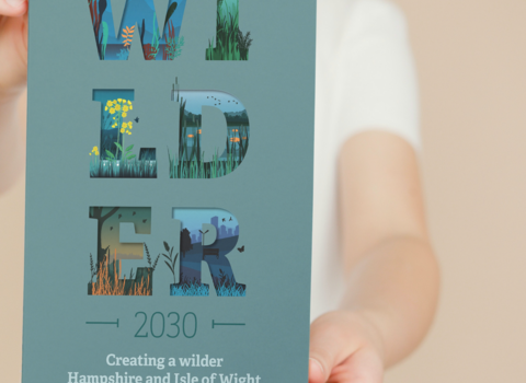 person holding a wilder booklet