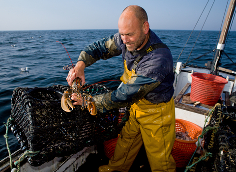 Lobster fisherman by Toby Roxburgh