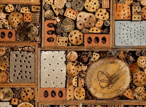 bug hotel