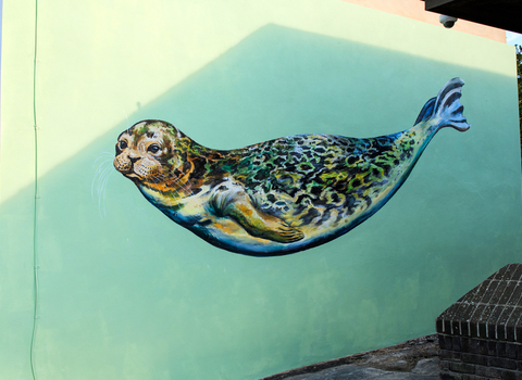 Harbour seal mural, Newport IOW