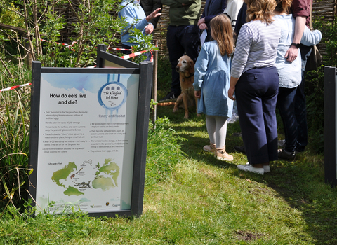 Information board at Alresford Eel House © HIWWT