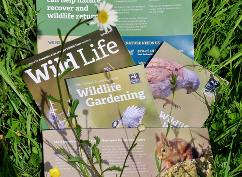 Membership pack in wildflowers