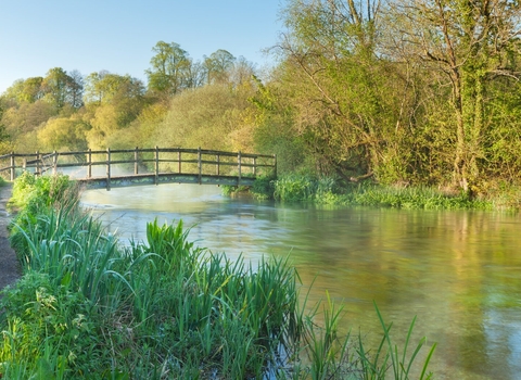 A landscape of the River Itchen flowing beneath a wooden bridge, with trees lining the far bank