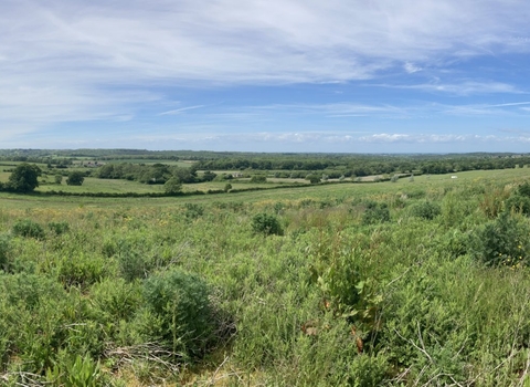 Wilder Duxmore Farm in 2022