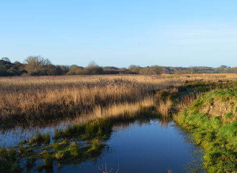 Morton Marsh Nature Reserve 