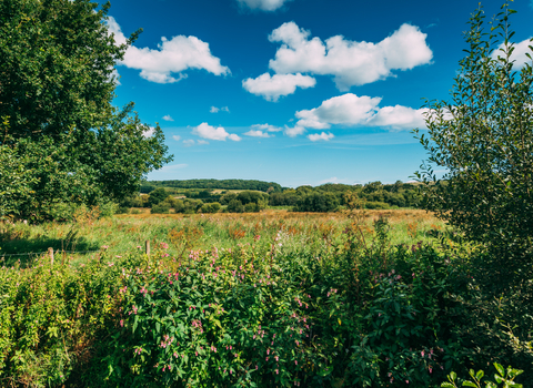 Newchurch Moors 