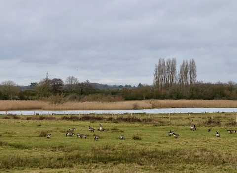 Titchfield Haven - view from Knights Bank Hide