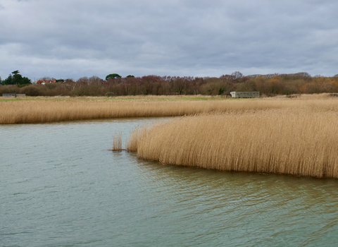 Titchfield Haven