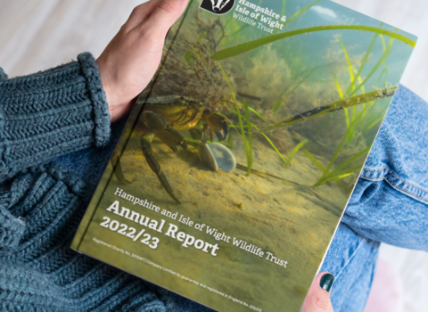person in teal jumper birds eye view, holding annual report