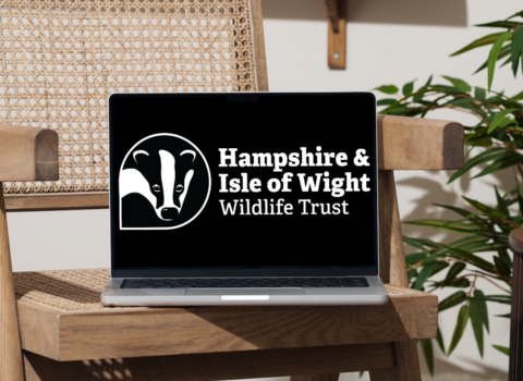 laptop on chair that has the Hampshire & Isle of Wight Wildlife Trust logo on the screen
