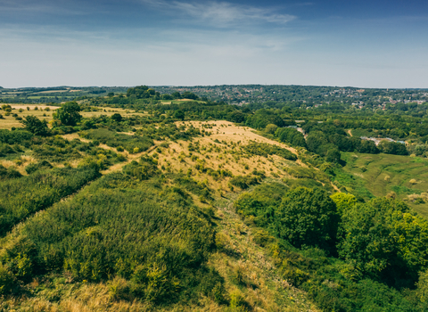 Green landscape with trees and shrubs. Winchester city can be seen in the background.