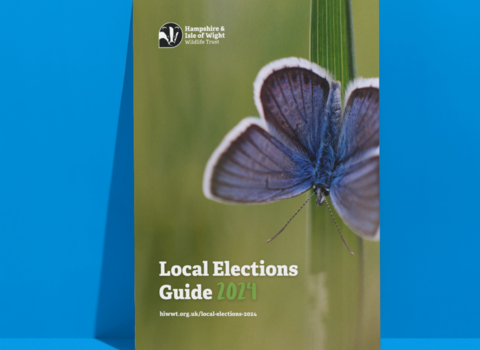 Local election guide front cover - cover features common blue butterfly