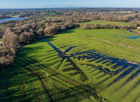 Aerial view of a lush, green landscape with a network of water channels and surrounding trees, under a clear blue sky.