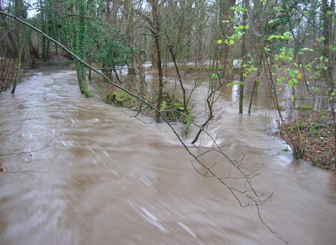 Blashford Lakes River in Spate  