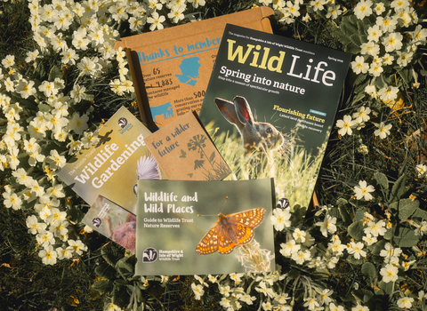 Spring 25 mag and pack