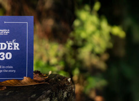 Wilder 2030 booklet on a wooden bench surrounded by autumnal colours