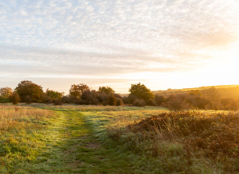 St Catherine's Hill in the sun