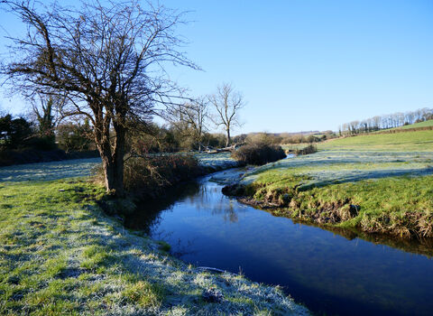 Court House Meadows