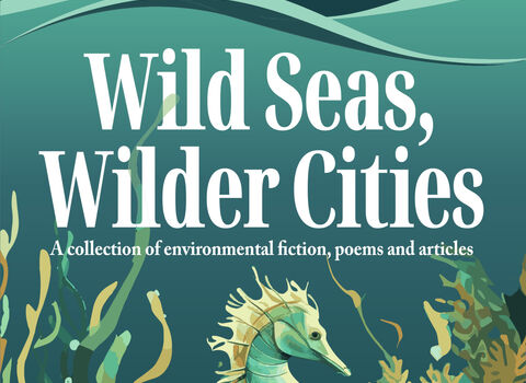 Wild Seas, Wilder Cities (book front cover)