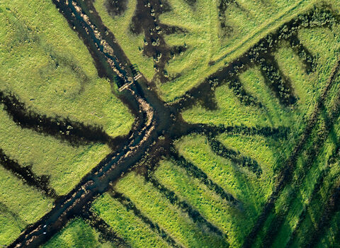 Drone image of floodplain
