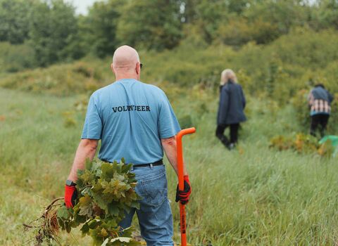volunteer on Isle of Wight nature reserve