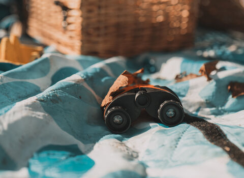 A pair of children's binoculars with a fallen leaf on them. They are on an outdoor blanket