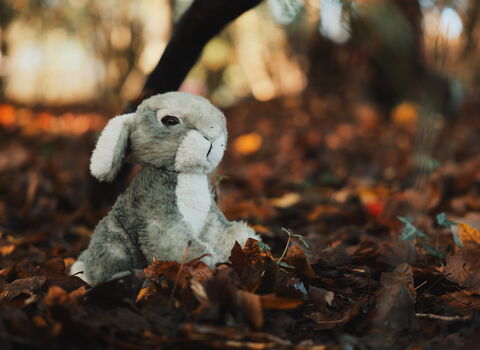 A stuffed toy rabbit sitting in autumn leaves