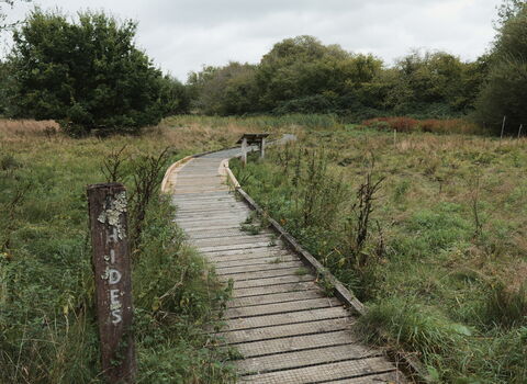 Testwood Boardwalk leading to the hides